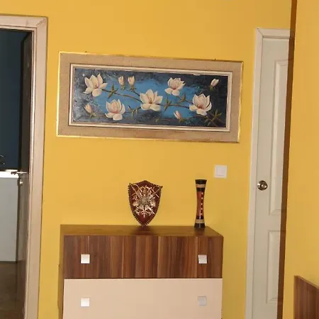 Top Center Brand New